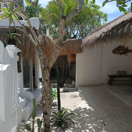 Sal Secret Spot